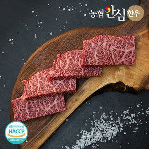 농협안심한우 1등급 한우 살치살 600g(300g x 2팩)