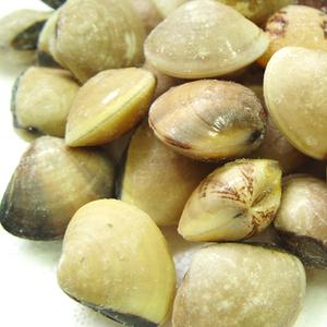 백합조개 1kg