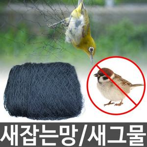 참새 그물 망 잡는망 방조망 까치 비둘기 새그물망 포획 새망