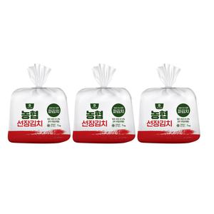 농협 선장 파김치 1kg x 3 코스트코