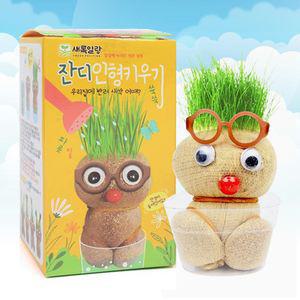잔디 인형 키우기(못난이) 잔디 키우기 식물 재배 키트