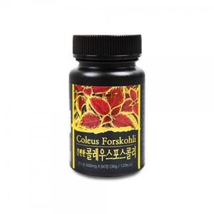 리얼 콜레우스 포스콜리 60정 체지방감소 도움 부모님선물 한방영양제 건강환