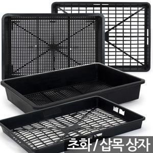 삽목상자 초화상자 1P - 육묘상자 포트상자 포트운반 모종운반 트레이 박스 삽목박스 초화박스 육모박스