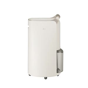 LG 휘센 오브제컬렉션 제습기 20L DQ205PEGA