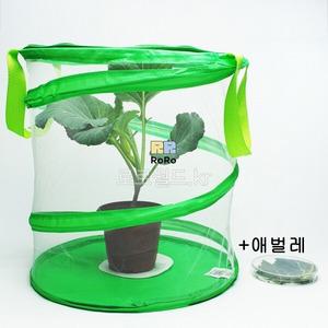 배추흰나비 애벌레 기르기 세트 (3월 중순경~4월 출고) 키우기/생물 과학 실험 재료