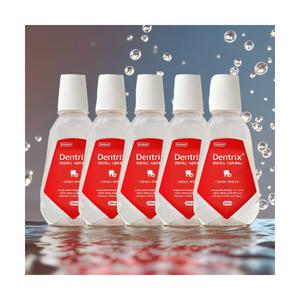 덴트릭스 가글액 플러스 구강청결제 잇몸케어 입냄새제거 250ml x 5개