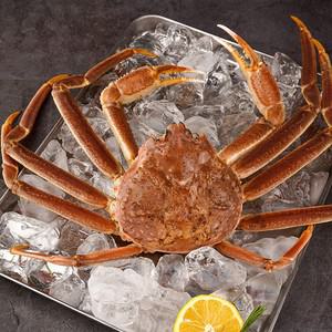 살이 꽉 찬 러시아대게 3kg (2-3미/자숙)