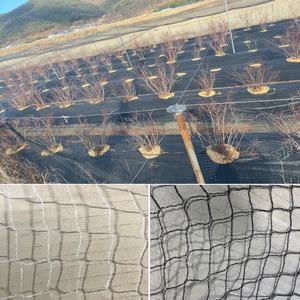 청년농자재 (6kg,12kg) 방조망 새망 블루베리망 참새망 조류방지 작물보호