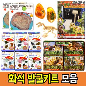화석발굴키트 모음 잼스톤 공룡 곤충 해양화석 자연관찰 체험 DIY 과학 학습 교육완구