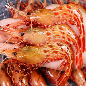 국내산 독도 꽃새우 500g (17미 내외)