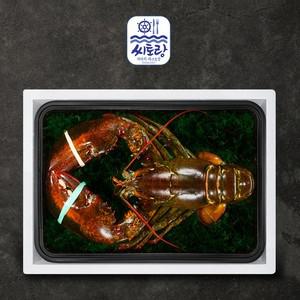 [씨토랑]프리미엄 점보 활랍스터세트 1미 2.0kg 마리당 1.8-2.2kg