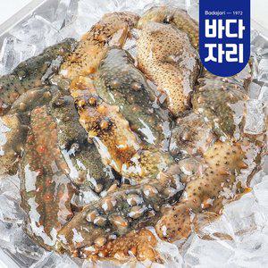 [바다자리]통영 산지직송 자연산 활 해삼 1kg 해삼회 해삼