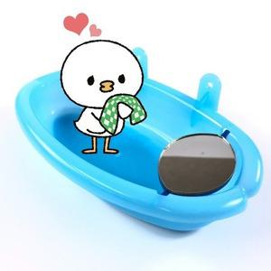 새 거울 욕조 앵무새 잉꼬 애완조 조류 키우기 힐링 물놀이 목욕 장난감 새장 설치 꾸미기