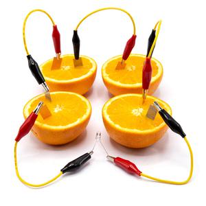 2과일 기준실험 아리랑 과일전지키트 - LED 타입