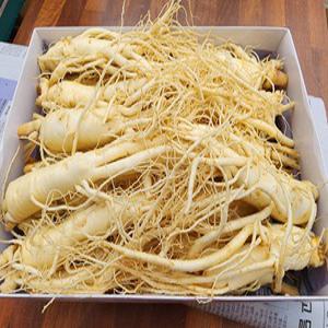 풍기인삼 세척인삼 750g 쥬스용 삼계탕용 홍삼용 무료진공포장