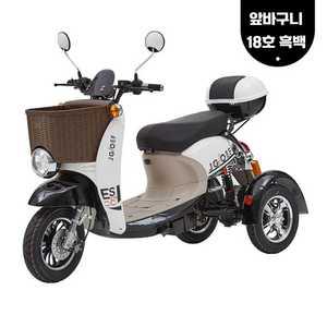 삼륜오토바이 전동스쿠터 3륜 접이식 미니 전기바이크