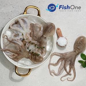 국내산 손질 세척 주꾸미 냉동) 300g 4-7미)