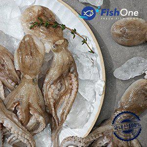[피시원] 한마리씩 얼린 국산 주꾸미(냉동) 400g(3-5미)