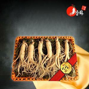[강화초지인삼] 5년근 수삼 선물세트 1채 750g (8-10뿌리)