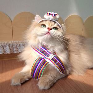 [하프클럽/알티피아]강아지 고양이 추석 설날 모자 한복 목도리 2종