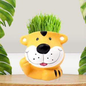 6개입 잔디인형키우기 토피어리만들기 키트 잔디머리인형 재료