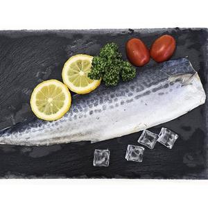 제주 부산 순살 삼치 3팩 300-450g 소짜 제주 삼치 구이 냉동삼치 손질삼치 가시제거