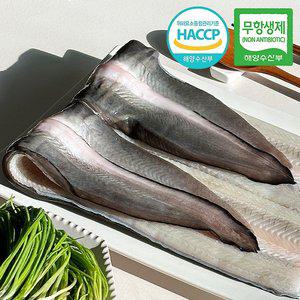 [웰굿][무항생제] 양양 자포니카 민물장어 3kg(3-9미,손질후1.8kg내외)