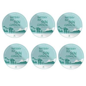 리에노 빅 선쿠션 장윤정쿠션 최신상 25g 6개