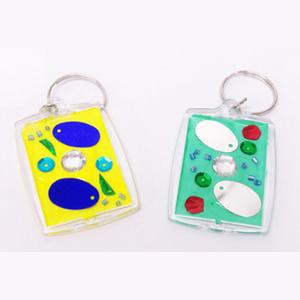 동물 식물 세포 키링만들기 10P 초등과학 늘봄 창의