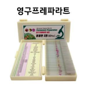 초등생물 동물세포 관찰실험 50종 현미경표본 세트 홈스쿨 중등 과학놀이 교육 연구실
