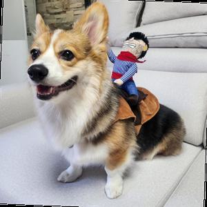 강아지 할로윈 옷 코스튬 애견 약탈범 S 고양이