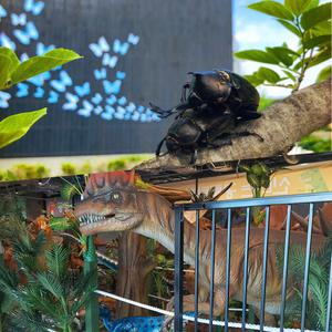 용인 아이와가볼만한곳! 용인곤충테마파크+공룡월드 이용권/가족여행/국내볼거리/키즈카페/키즈까페/경기도/체험/아이랑/테마파크