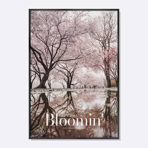 스웨리움 미드센츄리 모던 감성 사진 인테리어 액자 벚꽃 나무 풍경 Bloomin'