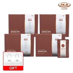 국내산 프리미엄 영지버섯 진액 4박스(총 120포)+쇼핑백 2장