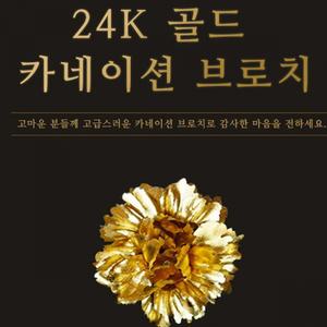 DK-SJ 골드 카네이션브로치