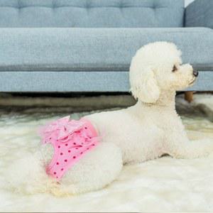 재사용 봄 동물 기저귀 레이스 개 속옷 강아지 고양이 용품 가능한 애완 바지 반바지