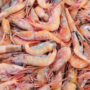 급냉 단새우 1kg