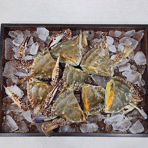 하프절단 암꽃게 1kg