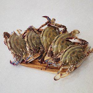 연평도 급냉 암꽃게 1kg