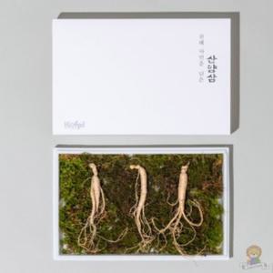 10년근 횡성 S급 산양삼 3뿌리 공단보자기 포함 가족 추석 인삼