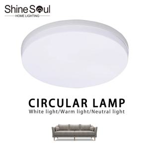 LED 원형 천장 조명 초박형 현대 조명 침실 거실 18W 24W 36W 48W 실내 홈 장식 조명