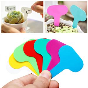 100pcs 정원 레이블 식물 분류 정렬 기호 태그 티켓 플라스틱 쓰기 플레이트 보드 플러그인 카드 다채로운