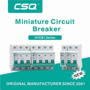 DZ47 400V 1-4P 3-125A C 유형 미니 회로 차단기 MCB 짧은 과부하 회로 보호기 35mm Din 레일 마운트 차단 용량 6KA