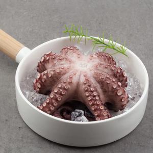 마다가스카르산 자숙 홀 문어 900g-1000g 제수용 술안주 문어회