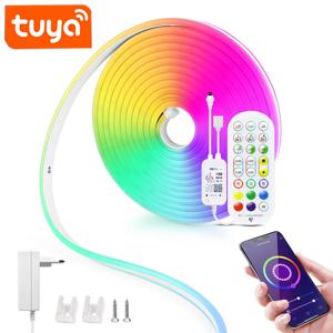 12/24V EU 플러그 WiFi RGB 네온 LED 스트립, 1/2/3/4/5/10/15M 네온 RGB 스트립 Tuya/Smart Life/Alexa/Google 홈 데코 조명과 함께 작동