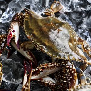 연평도 급냉 암꽃게 1kg 3-5