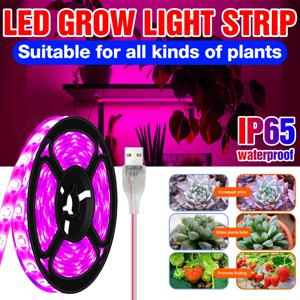 USB 식물 램프 전체 스펙트럼 식물 성장 빛 Led 성장 스트립 빛 식물에 대 한 온실 Phytolamp 수경 법 성장 시스템