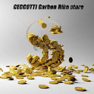 CECCOTTI Carbon 자전거 매장에서 가격 차액 또는 기타 소액 액세서리 수수료를 지불하세요.