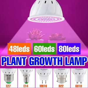 E27 수경 성장 빛 E14 Led 성장 전구 GU10 MR16 B22 220V 3W 4W 5W 전체 스펙트럼 꽃 식물 수경 성장 램프
