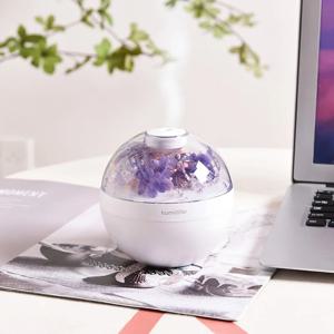새로운 영원한 꽃 가습기 침묵 침실 크리 에이 티브 나이트 라이트 데스크탑 에어 홈 작은 수분 공급 공기 분무 가습기